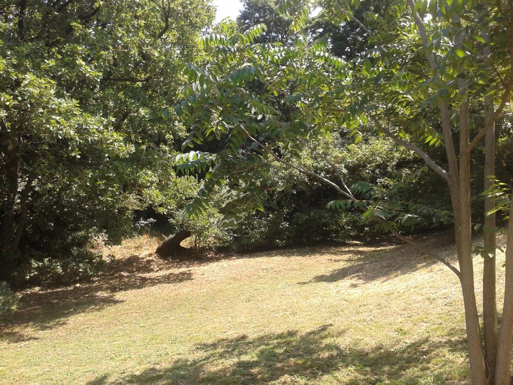 Entre Nimes Et Arles Villa Bellegarde  ภายนอก รูปภาพ